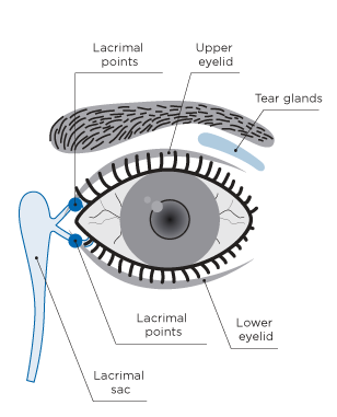 Kaufer | Clínica de Ojos - TEAR DUCTS, EYELIDS AND COSMETIC SURGERY